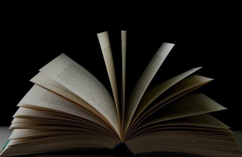 Comic Book or Graphic Novel